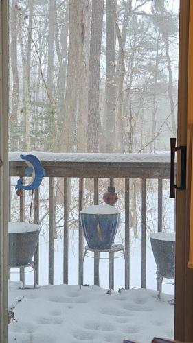 Christy Dusthimer - Denton.jpg