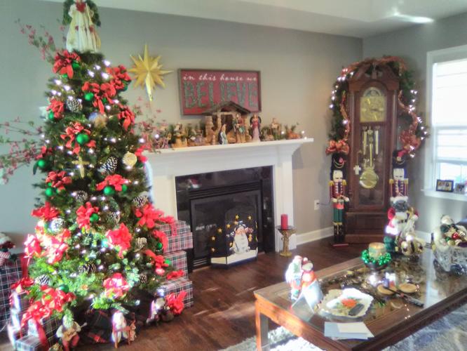 The Delfino Family, dover