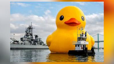 Crisfield Prepares For World's Largest Rubber Duck