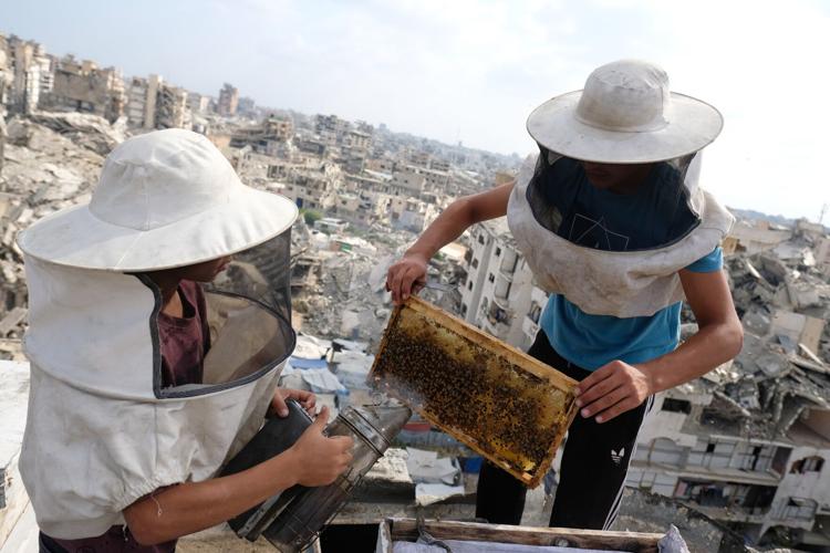 Israel Palestinians Gaza