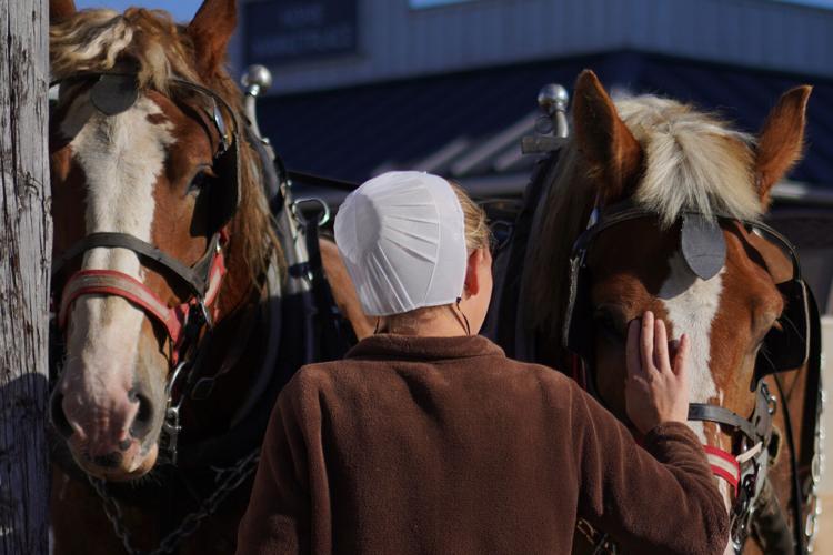 Measles-Amish Country