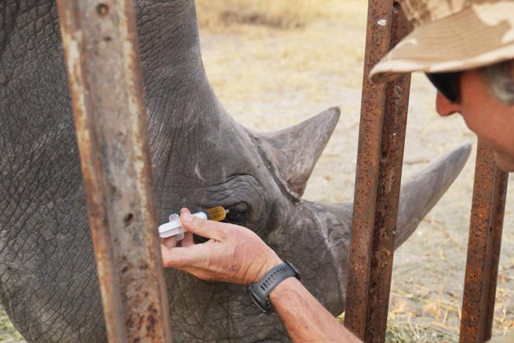 Rhino Eye Treatment