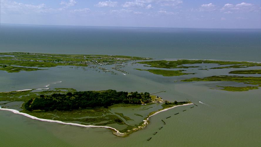 Whole Island