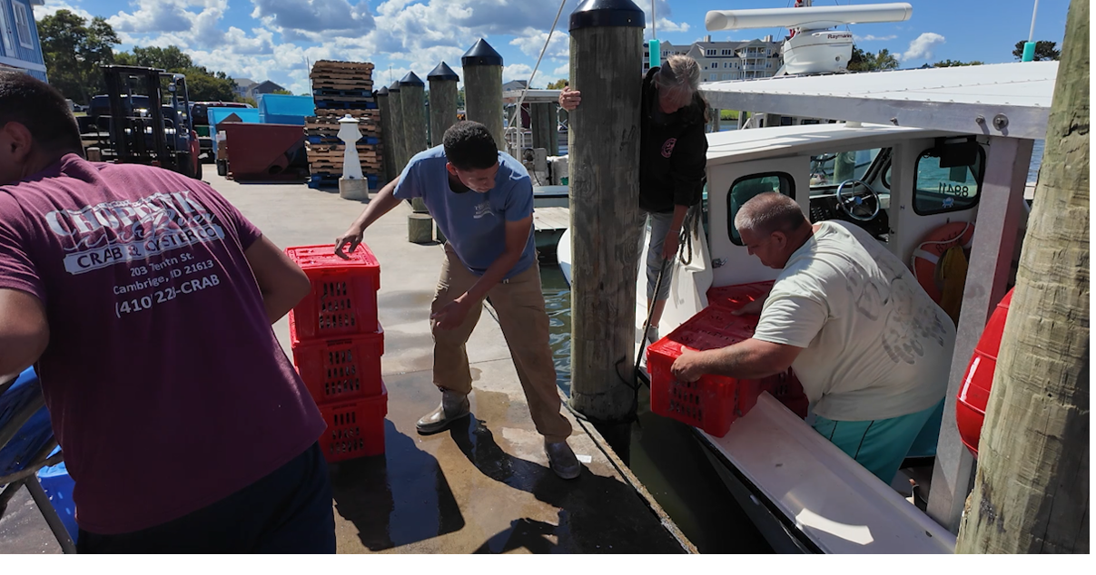 Crab check-in: Watermen say this summer's problem wasn't the catch — it was the market