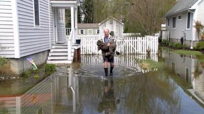 Dave Carroll Carries Dog Through Flooded Property