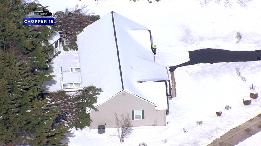 Tree on House