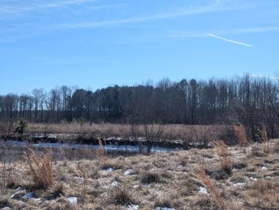 Bay Club Trails