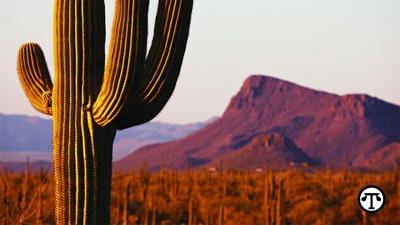 New Year, New Adventures:  Tucson Treasures that Give Back
