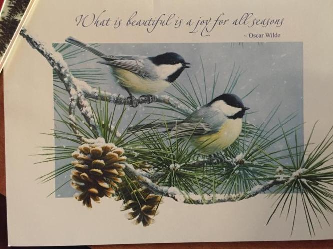 12309297_10154366955278032_1895680689_n