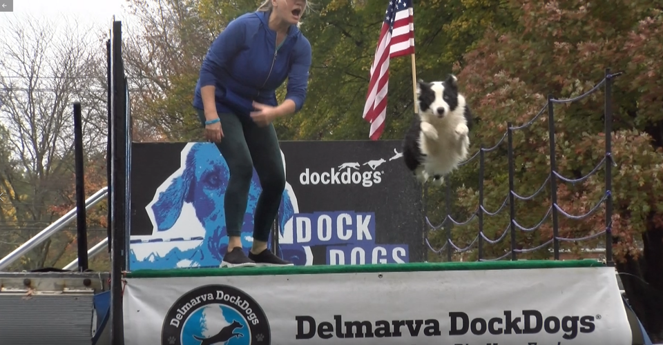 The 51st Waterfowl Festival Is In Easton This Weekend