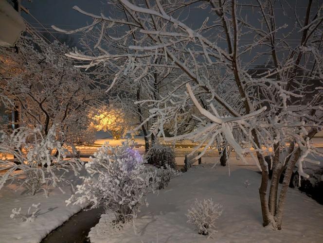 Lisa Flynn - Cambridge, Md.