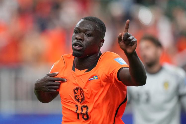 APTOPIX Sweden Netherlands WCup Soccer