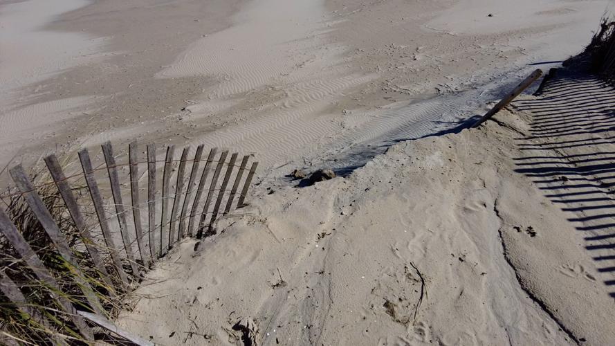Beach access closed