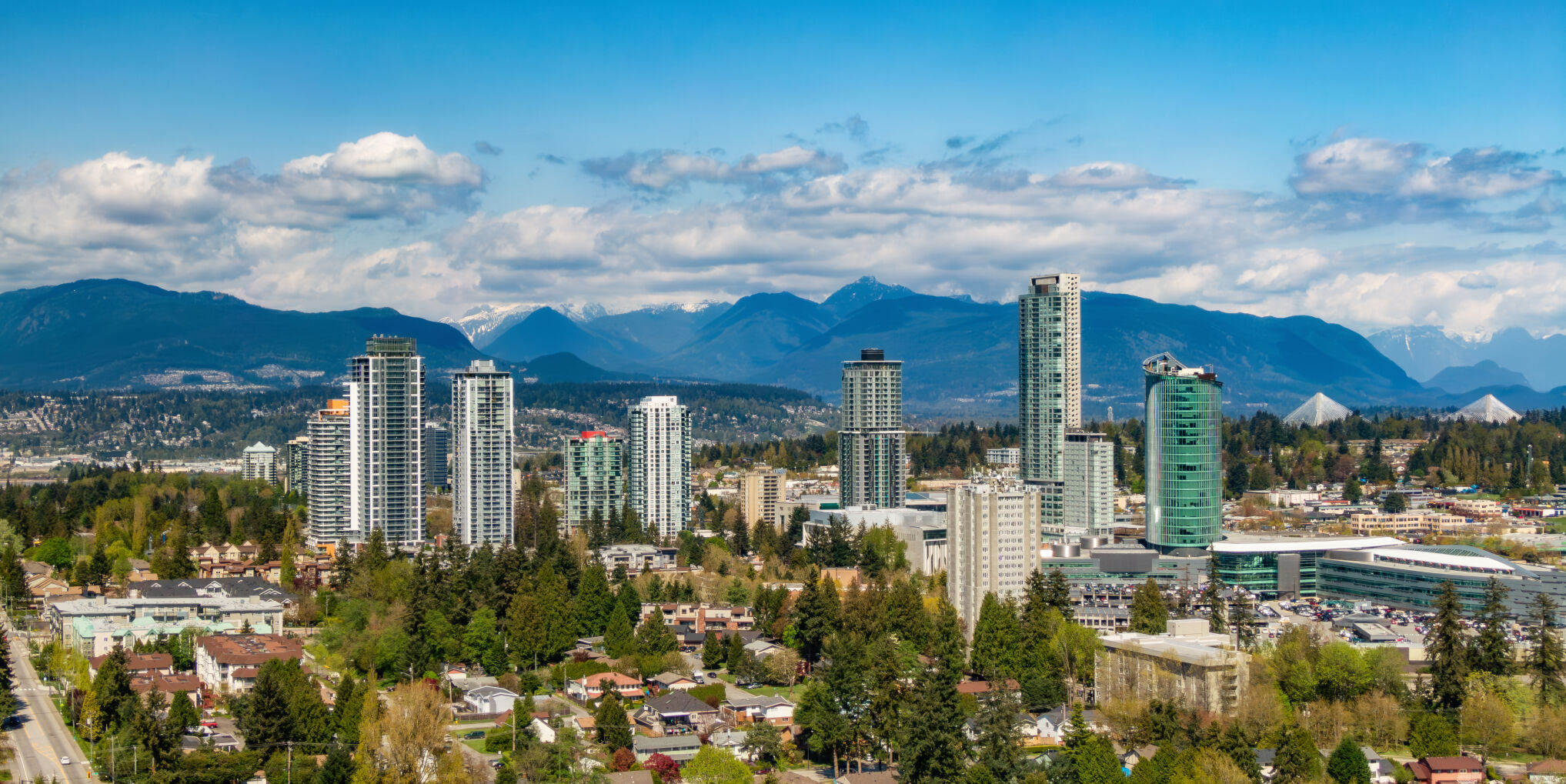 Announcing the 2026 Surrey Consumer Choice Award Winners