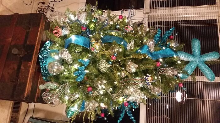 Bill and Debbie Willard of Long Neck