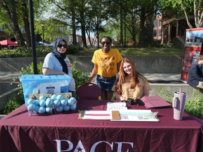 Voices 250 to capture stories from Maryland's lower shore