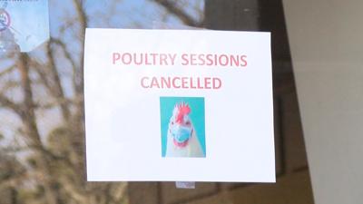 Poultry Events Cancelled