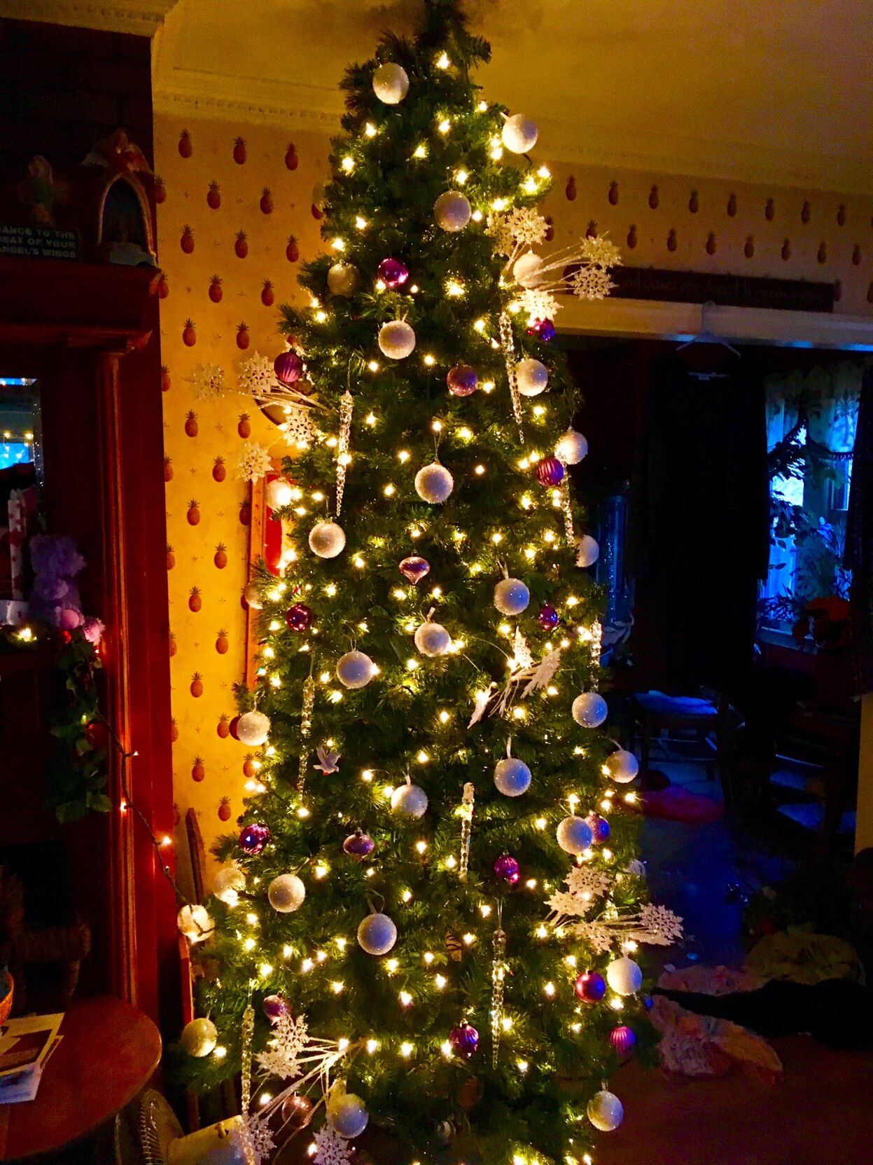 Jenny-Hall-no-location