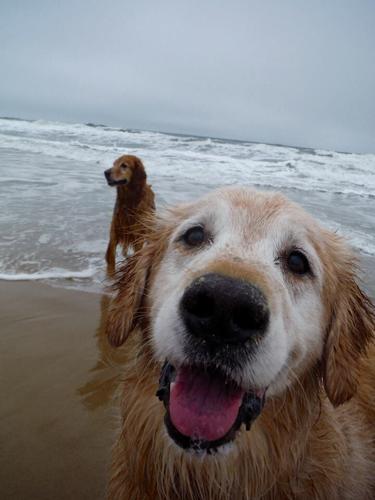 14520480_648593228647728_5392681424861780363_n