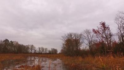 Travels With Charlie: “Once Upon an Afternoon Dreary…”