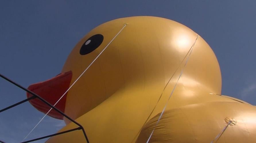 Crisfield Rubber Duck