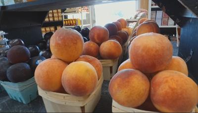 Travels With Charlie: 2017 Peach Season