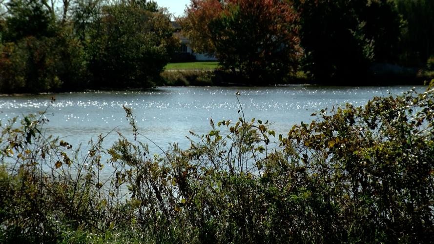 Wheatleys Pond
