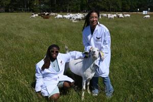 UMES Veterinary School Clears Hurdle Ahead of 2027 Class