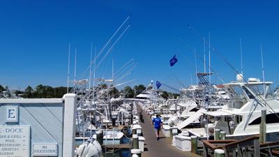 Boats docked at Marina
