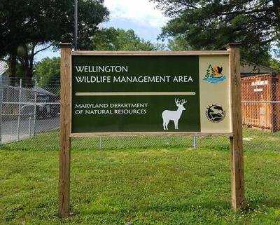 A picture of a sign for the Wellington Wildlife Management Area location. It reads "Wellington Wildlife Management Areas Maryland Department of Natural Resources."