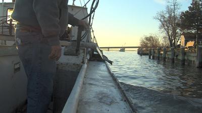Watermen Protest on Manokin River, Call for Oyster Sanctuary to be Opened Back up