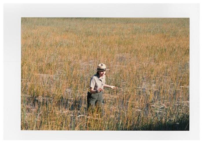 everglades1
