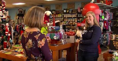 Fur Baby Boutique   Friday  Nov. 20  2015   YouTube