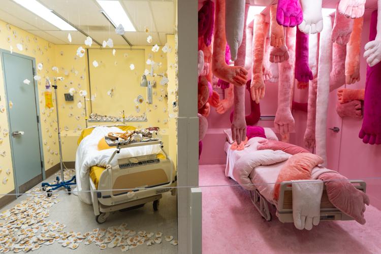 California Hospital of Emotions