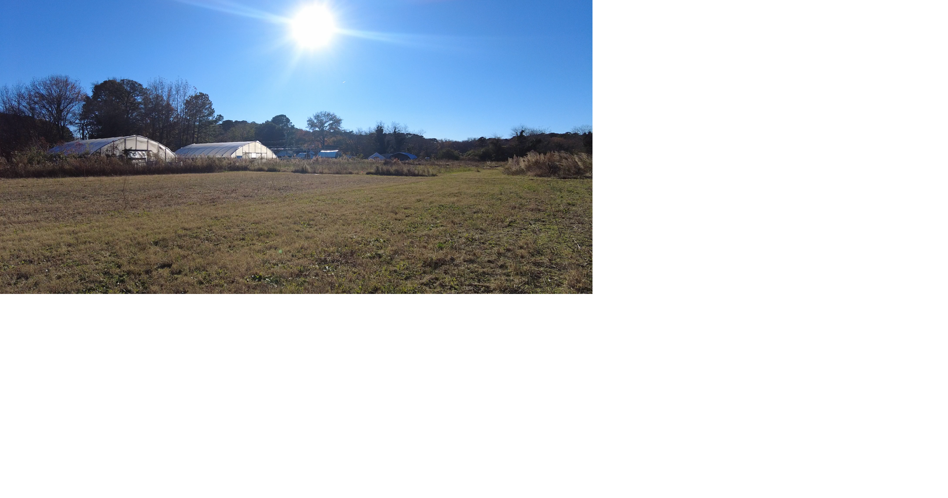 Delmarva farmer reports 10 turkeys missing weeks before Thanksgiving