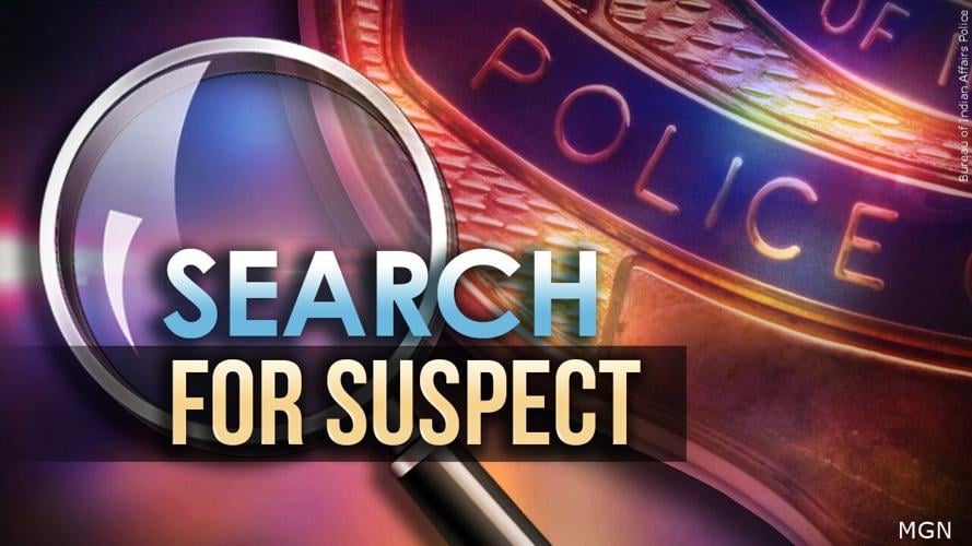 SUSPECT SEARCH