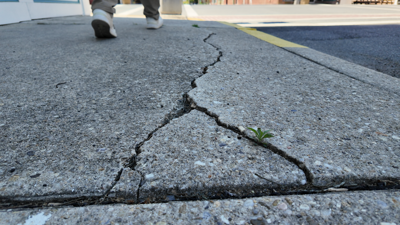 Sidewalk Cracks