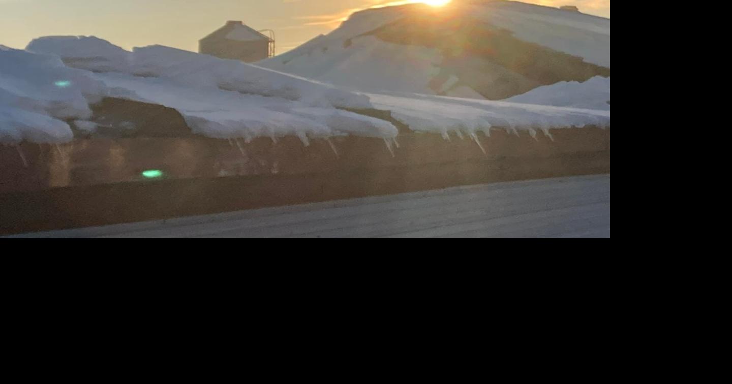 Girl, 12, Injured in Ellendale Chicken House Collapse Latest News