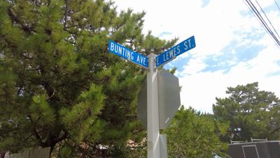 Bunting Avenue