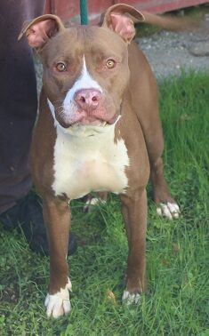 marley
