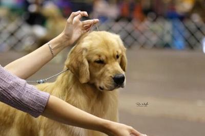 23201997_1715701571796546_931692172_n