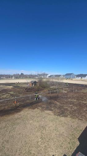 millsboro brush fire 0322_2.jpg