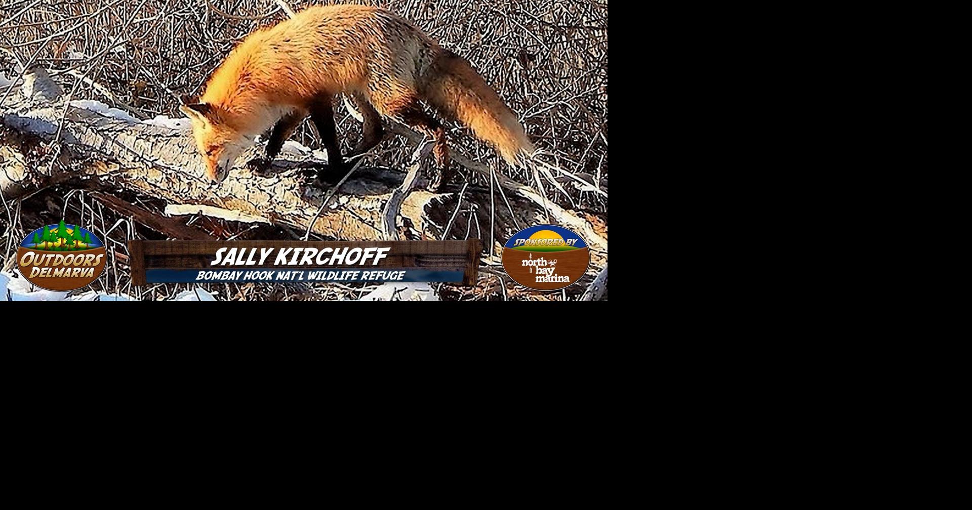 Viewer Pictures - April 26, 2025 | Outdoors Delmarva | wboc.com