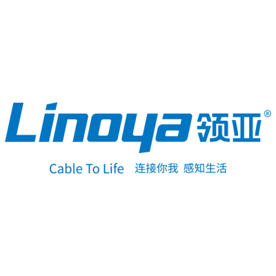 Five Trusted Ethernet Cable Manufacturers in China 2026: Delivering Reliable Cabling Solutions