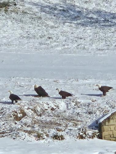 Mary Ann Eastman Bridgeville.jpg