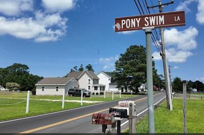 Pony Swim Lane on Chincoteague