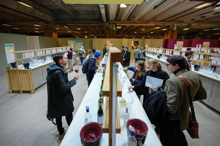 France Zero Alcohol Wines