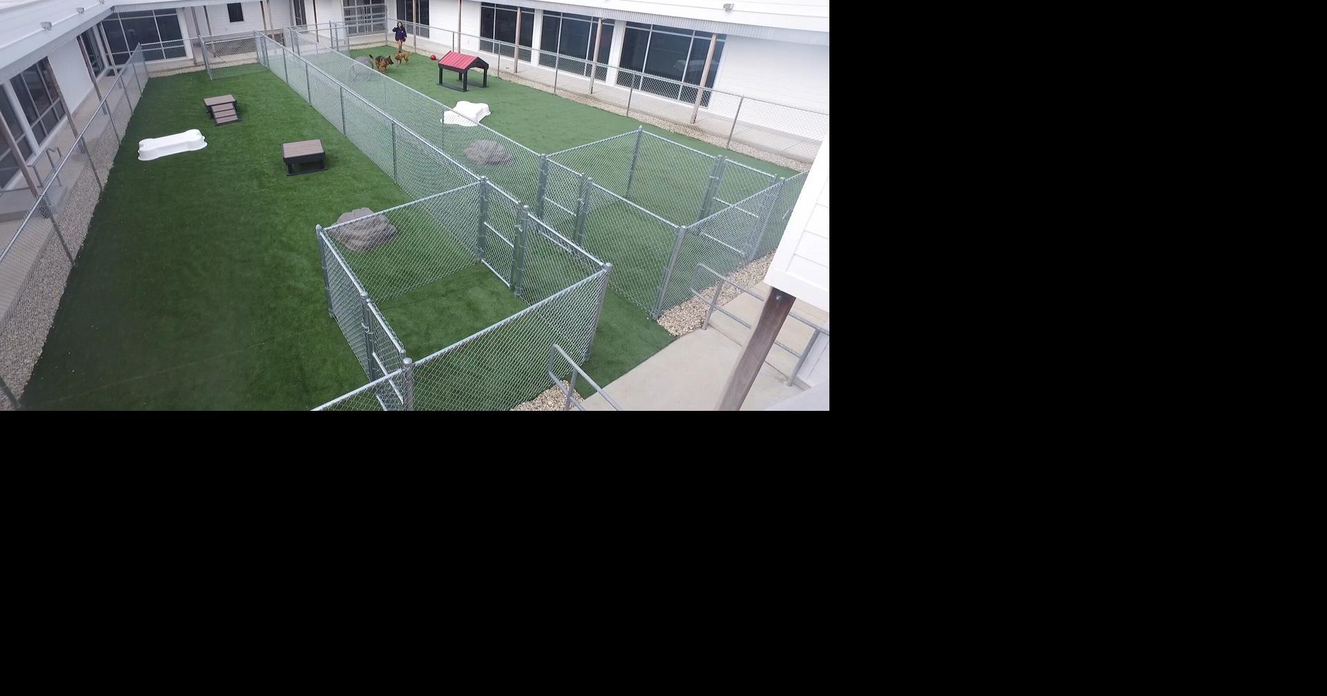 Brandywine Valley SPCA Opens New Pet Resort in Local News