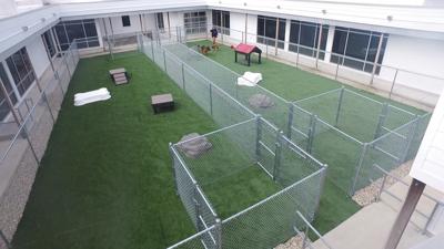 Brandywine Valley SPCA Opens New Pet Resort in Georgetown