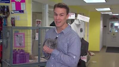 Pet Connect   Friday  February 20  2015   YouTube